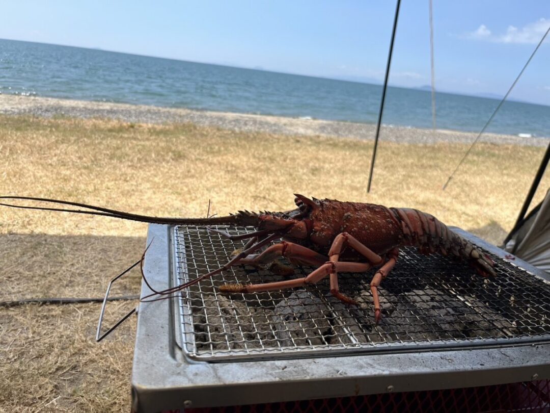 伊勢海老漁体験プラン！五島のぷりっぷり伊勢海老をとって・味わう90分！ in福江島
