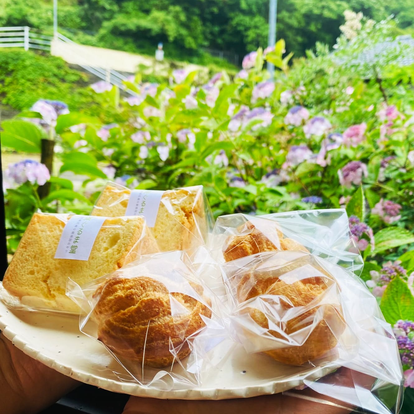 スライド画像